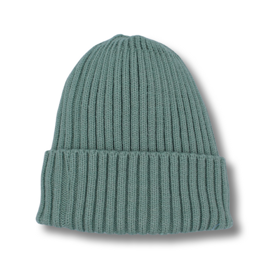 Teal Beanie - Toddler